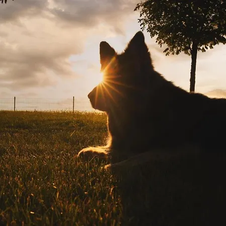 Holiday home Forsthaus Stolpe