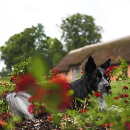 Forsthaus Stolpe Holiday home Stolpe (Ludwigslust-Parchim)