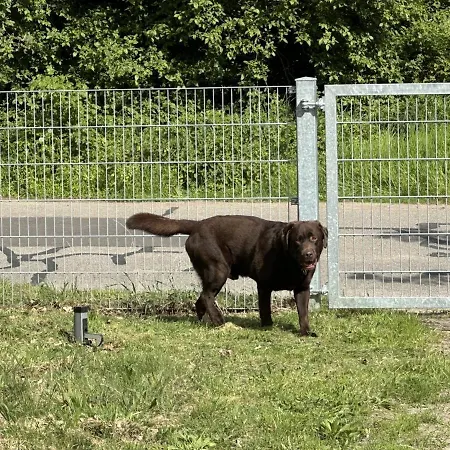 Forsthaus Stolpe * Stolpe (Ludwigslust-Parchim)
